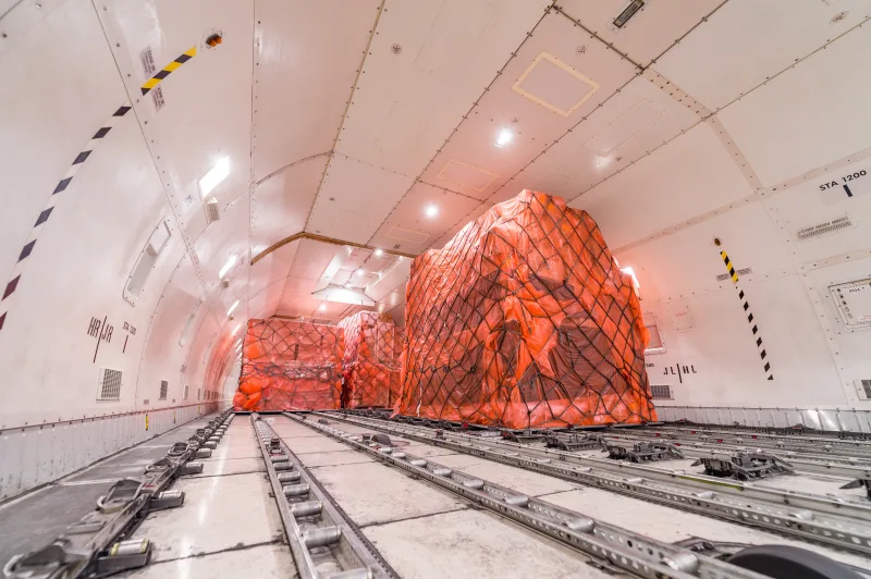 Transporting live animals to the Maldives: regulations and best practices